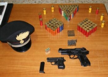 Trovate due pistole a salve nella boscaglia del catanzarese