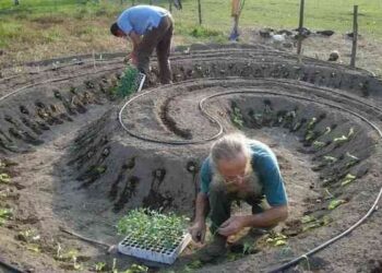 Metodo biodinamico, come coltivare e produrre: convegno in Calabria