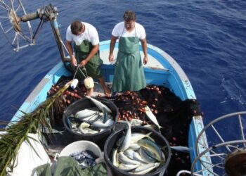 Sindacati lamentano gravi ritardi nella spesa dei fondi Ue per la pesca