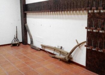 E’ diventata realta’ l’Enoteca Regionale a Ciro’