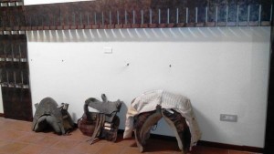 Serie di selle stanza rosati 