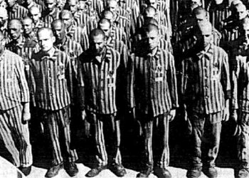 Video sulla Shoah degli alunni di Casabona nelle scuole di Ciro’ Marina