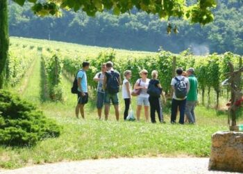 Un nuovo polo scolastico per la filiera enologica