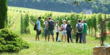 Un nuovo polo scolastico per la filiera enologica