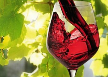 Expo 2015: Ciro’ Marina punta su vino e sardella