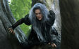 Into the Woods: nel bosco con la strega Meryl Streep