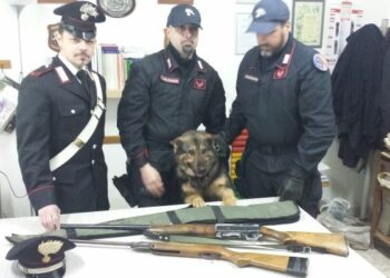 Billy fiuta le armi: scatta un arresto a Cotronei