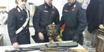 Billy fiuta le armi: scatta un arresto a Cotronei