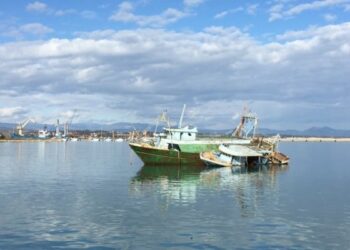 Le navi degli scafisti rottami intoccabili