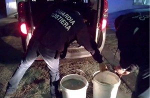 Bianchetto sequestrato