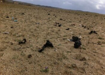 Cutro, danno ambientale sul litorale: spiaggia invasa da buste nere