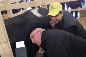 Il Presidente Oliverio alla mungitura delle vacche
