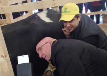 Oliverio allevatore per un giorno, mobilitazione a difesa del latte in Calabria