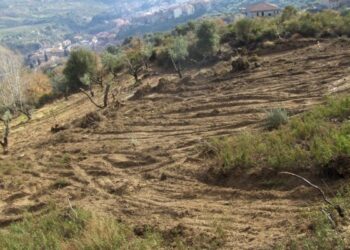 Manufatto edilizio abusivo scoperto a Mesoraca