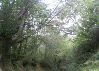 Sequestrata costruzione abusiva nel Parco dell’Aspromonte