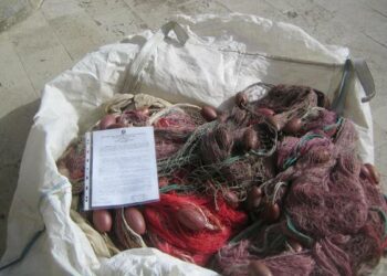 Falso allarme sbarco migranti, era una barca di Ciro’ Marina a ‘caccia’ di bianchetto