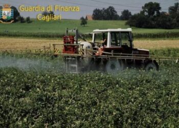 Maxi sequestro prodotti con pesticidi venduti anche in Calabria