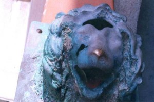 Testa di leone in bronzo Africo