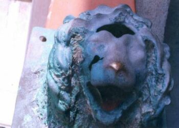 E’ autentica la testa leonina ritrovata nel reggino nel 2012