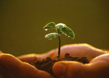 Crotone, convegno ‘L’ambiente parla alla salute’ al Pitagora