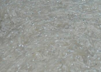 Sequestrati 300 chili di bianchetto nel reggino