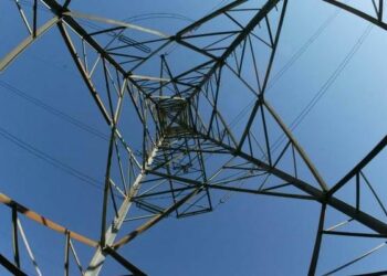 Pensionato calabrese sale su un traliccio in Veneto per protestare