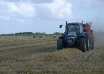 Agricoltori, rischia di chiudere ufficio Uma di Ciro’ Marina