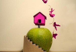 Agriscultura 'Mela mondo'