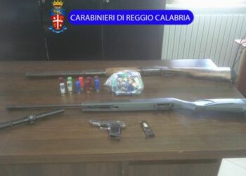 Calabria: arrestato Francesco Luppino, pericoloso latitante del reggino