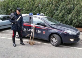 Scavi abusivi a Capo Colonna, arrestati 5 ragazzi di Isola Capo Rizzuto