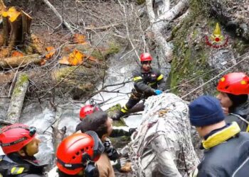Vigili del fuoco salvano cavallo in burrone nel cosentino