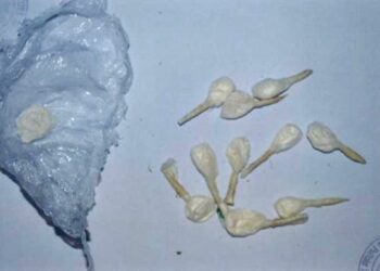 Cocaina in centro ricreativo a Cosenza, denunciato titolare