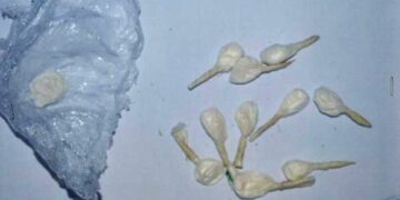 Cocaina in centro ricreativo a Cosenza, denunciato titolare