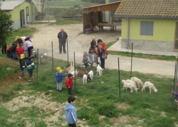 Bambini in fattoria, gite eco-didattiche nelle aziende del crotonese