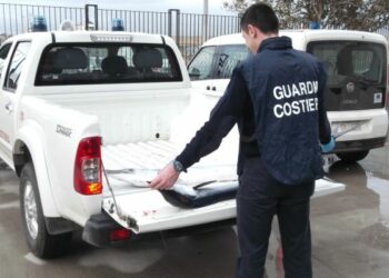 Pesce a bordo non dichiarato, multato peschereccio a Crotone