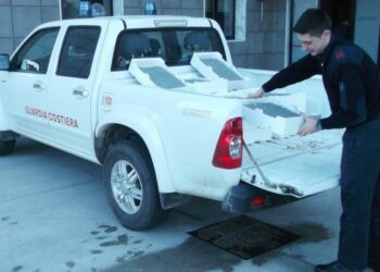 Sequestrati 164 kg di bianchetto tra Ciro’ Marina e Isola Capo Rizzuto