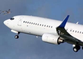 Aereo impatta stormo uccelli, Ryanair: ‘solo breve ritardo’