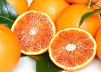 Denuncia Coldiretti: in Calabria arrivano arance e clementine ‘clandestine’