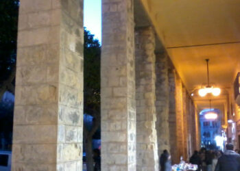 Crotone, salvare il Pino di Piazza Pitagora