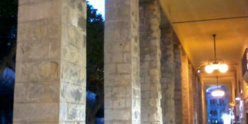 Crotone, salvare il Pino di Piazza Pitagora