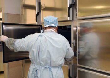 Donna trovata morta nel vibonese, tracce sangue in casa