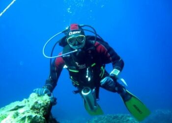 Tonni malformati, carotaggi nei fondali del tirreno cosentino