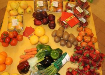 Agricoltura Bio, Calabria al secondo posto in Italia: spiccano uliveti e agrumeti