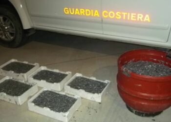 Ancora sequestri di bianchetto, 130 kg nel catanzarese