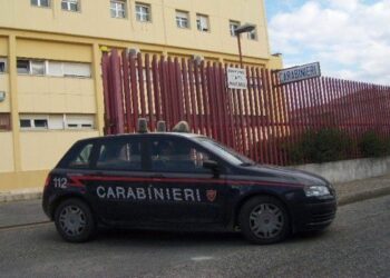 Banda di romeni arrestata a Ciro’ Marina, Siciliani ringrazia i carabinieri