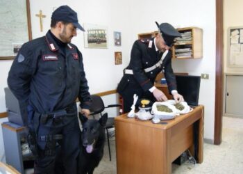 Sambo fiuta droga nel sottotetto di casa, arrestato 40enne a Cotronei