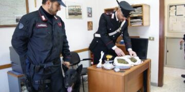 Sambo fiuta droga nel sottotetto di casa, arrestato 40enne a Cotronei