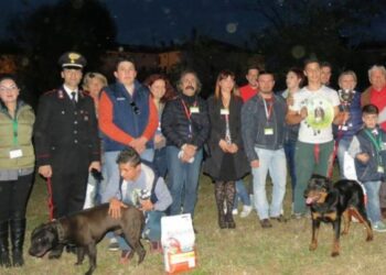 Esposizione cinofila, oltre novanta cani sfilano a Isola Capo Rizzuto