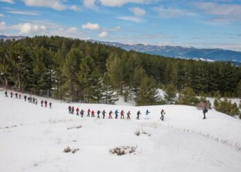 Legambiente Sila, la foto di Talerico trionfa a ‘Obiettivo Terra 2015’