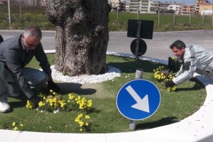 Interventi Città Pulita (1)